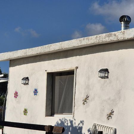 Villa Elvira Country House 贝尔韦代雷 外观 照片